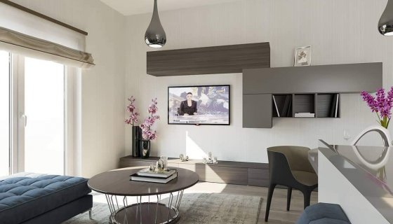 Kaşmir Çalışmalarımız